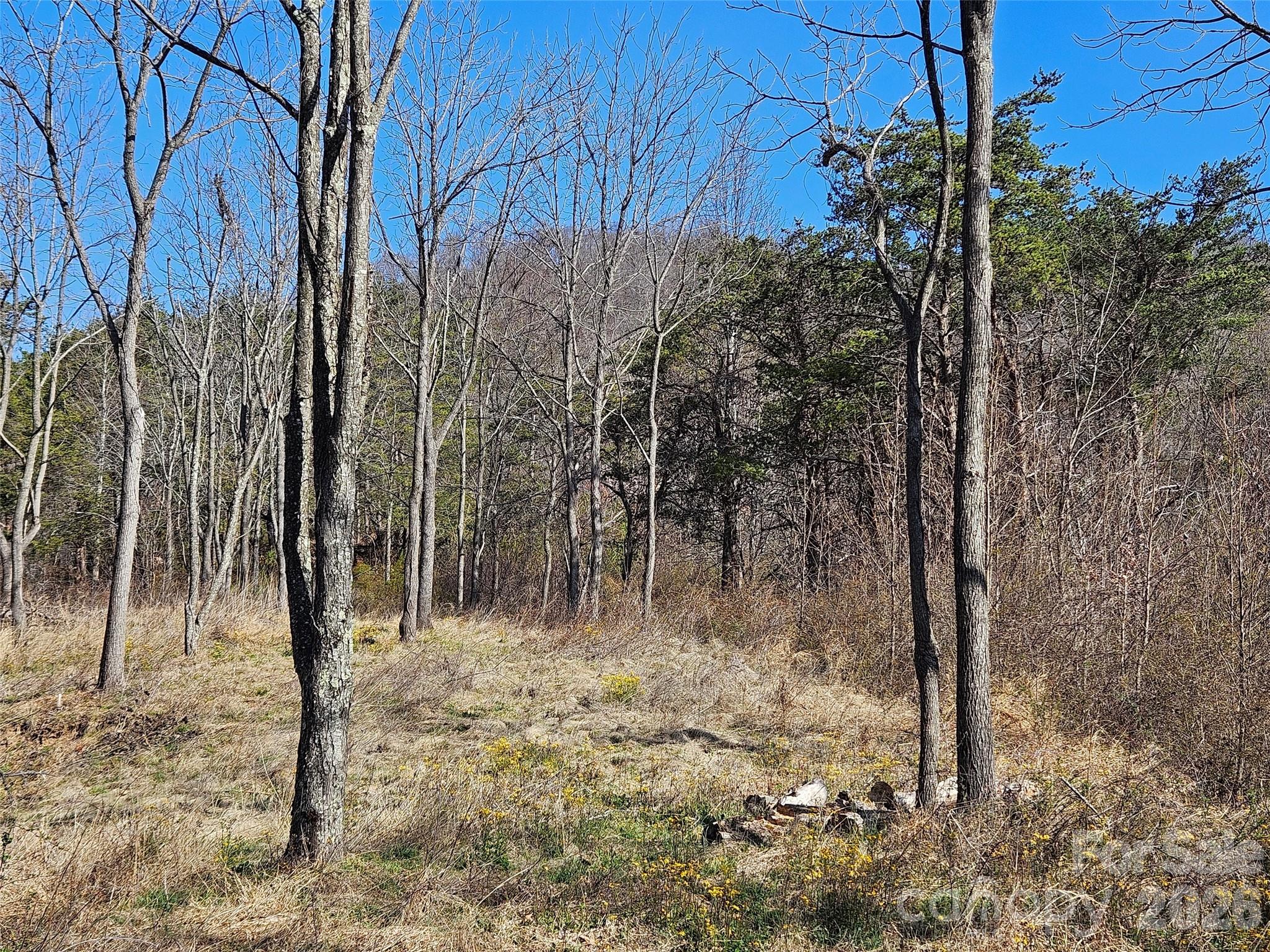 The Summit Of Asheville - Land