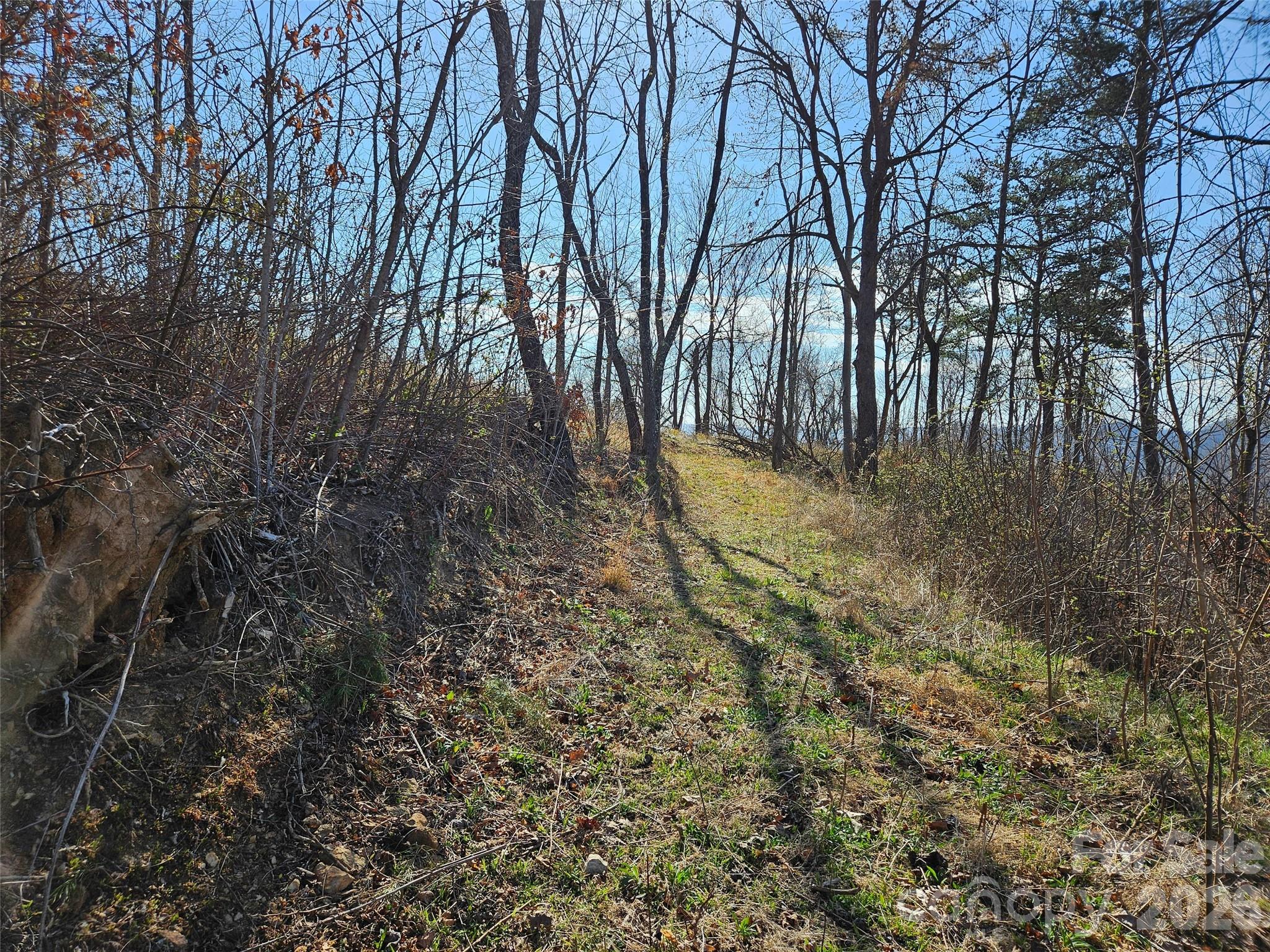 The Summit Of Asheville - Land