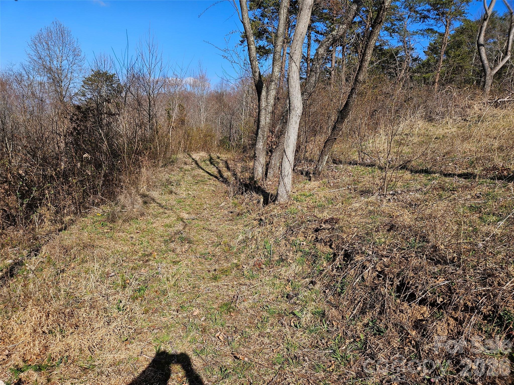 The Summit Of Asheville - Land
