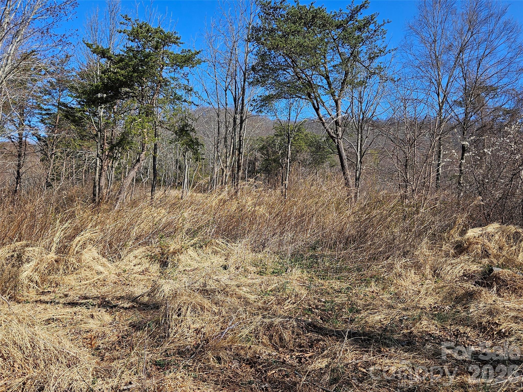 The Summit Of Asheville - Land