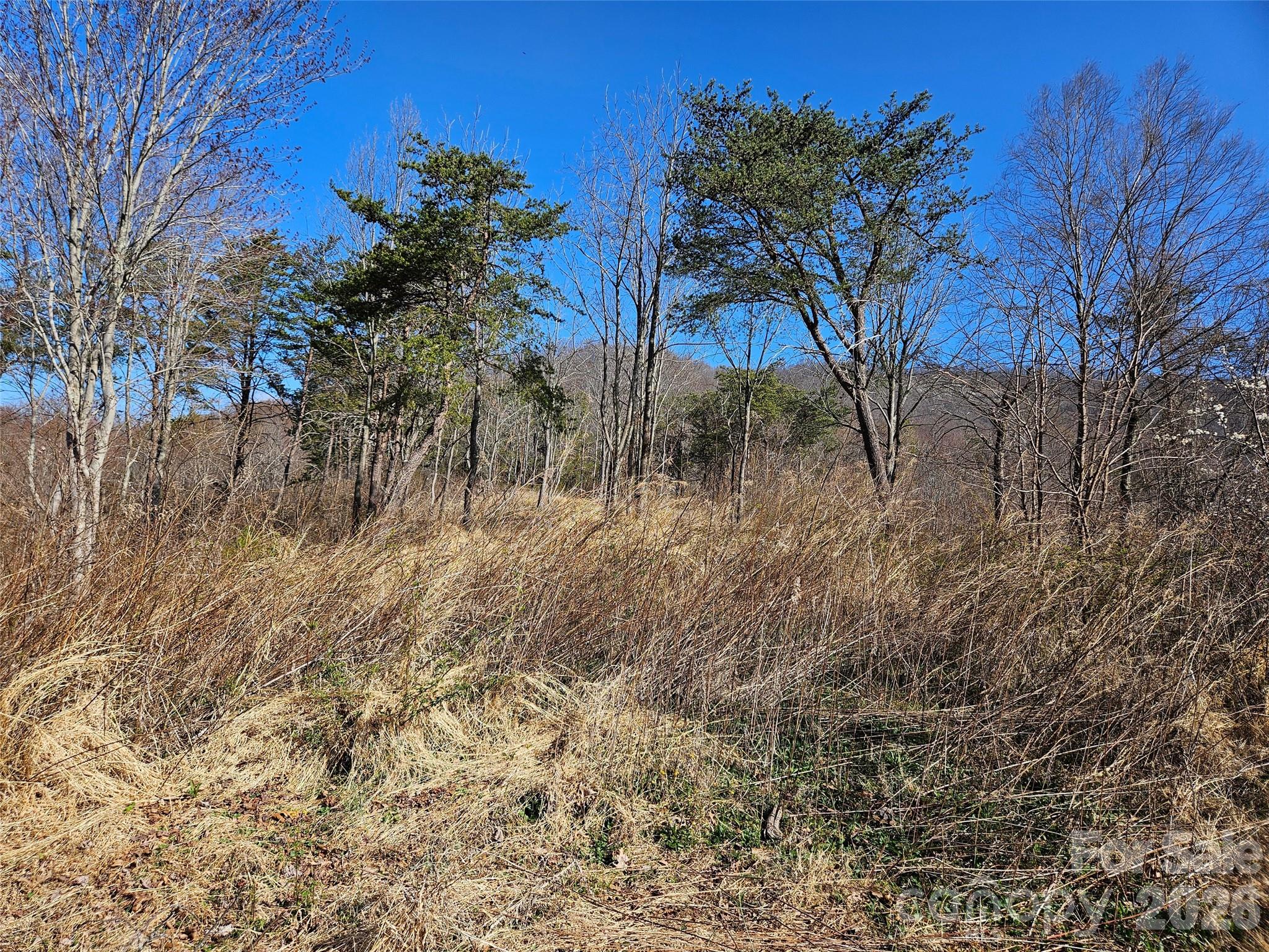 The Summit Of Asheville - Land