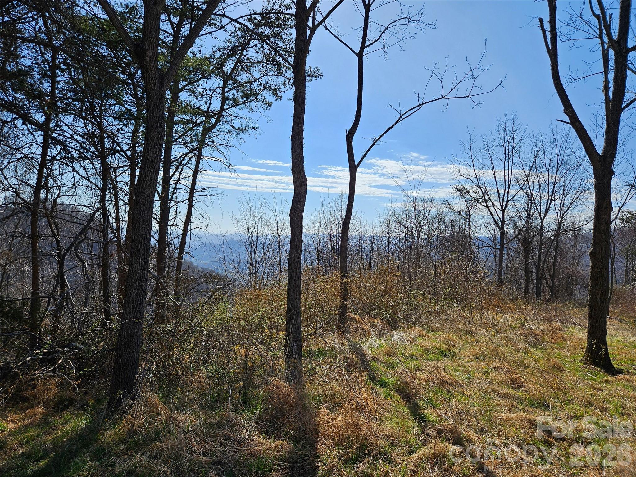 The Summit Of Asheville - Land