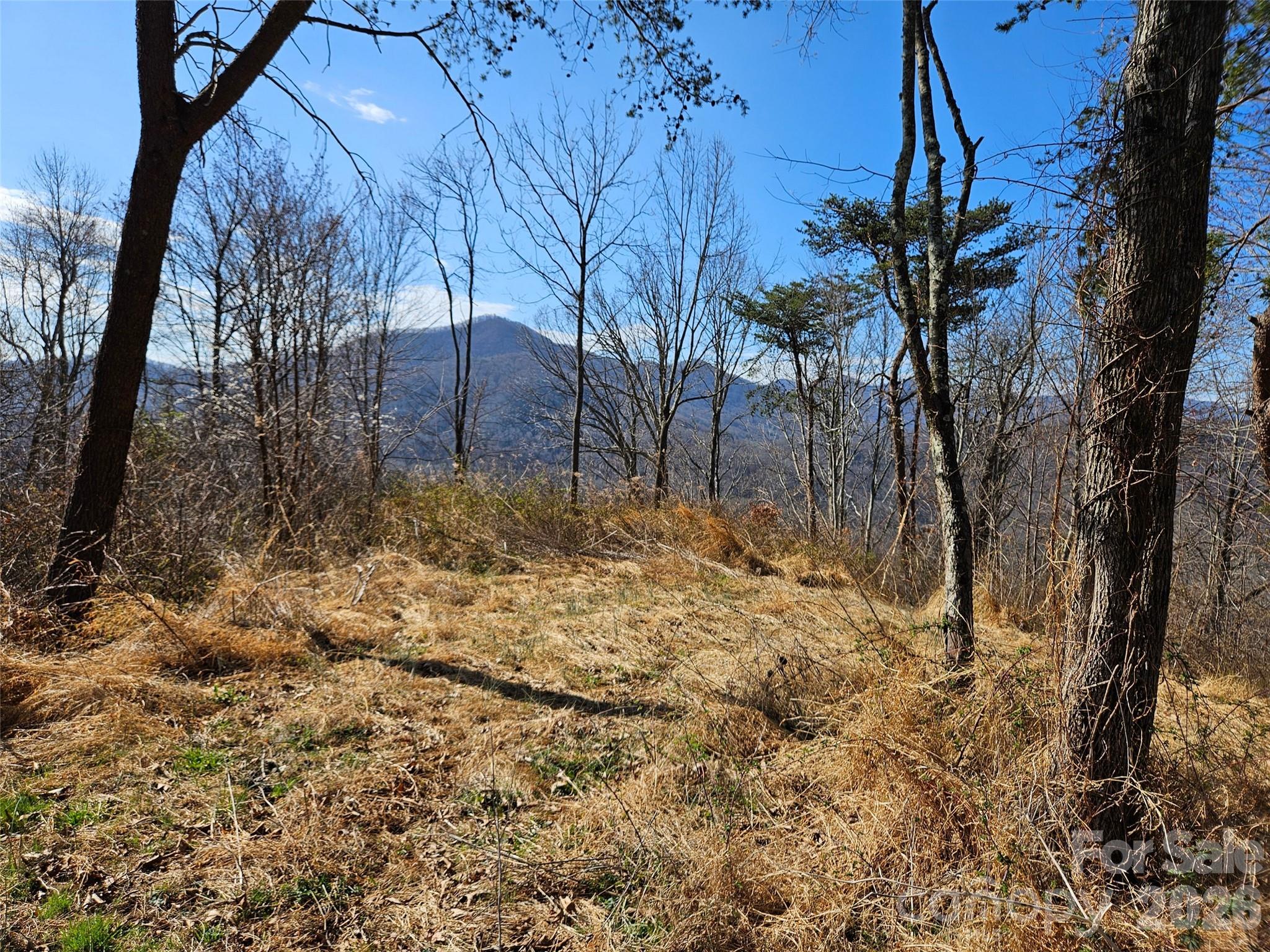 The Summit Of Asheville - Land