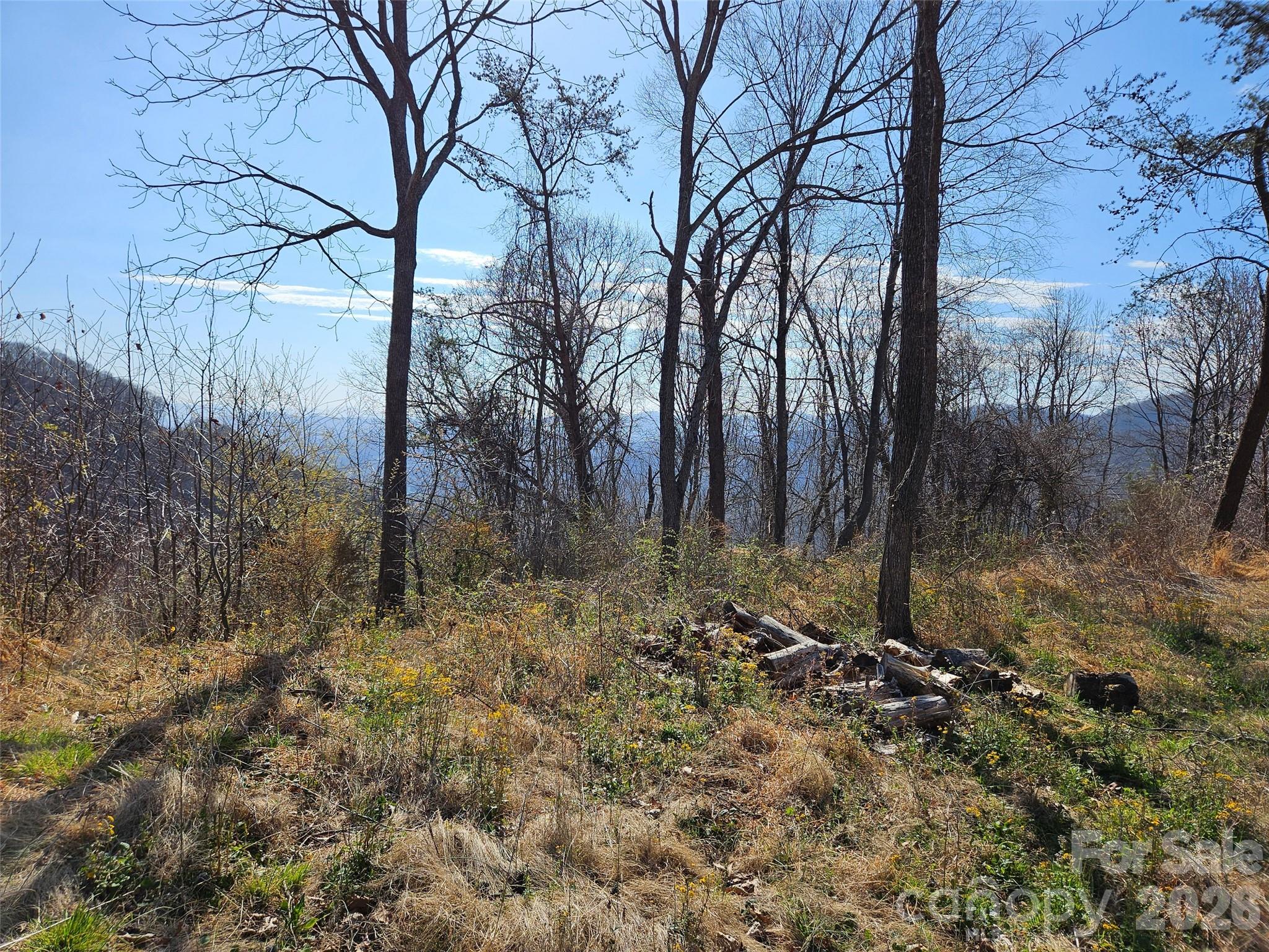 The Summit Of Asheville - Land