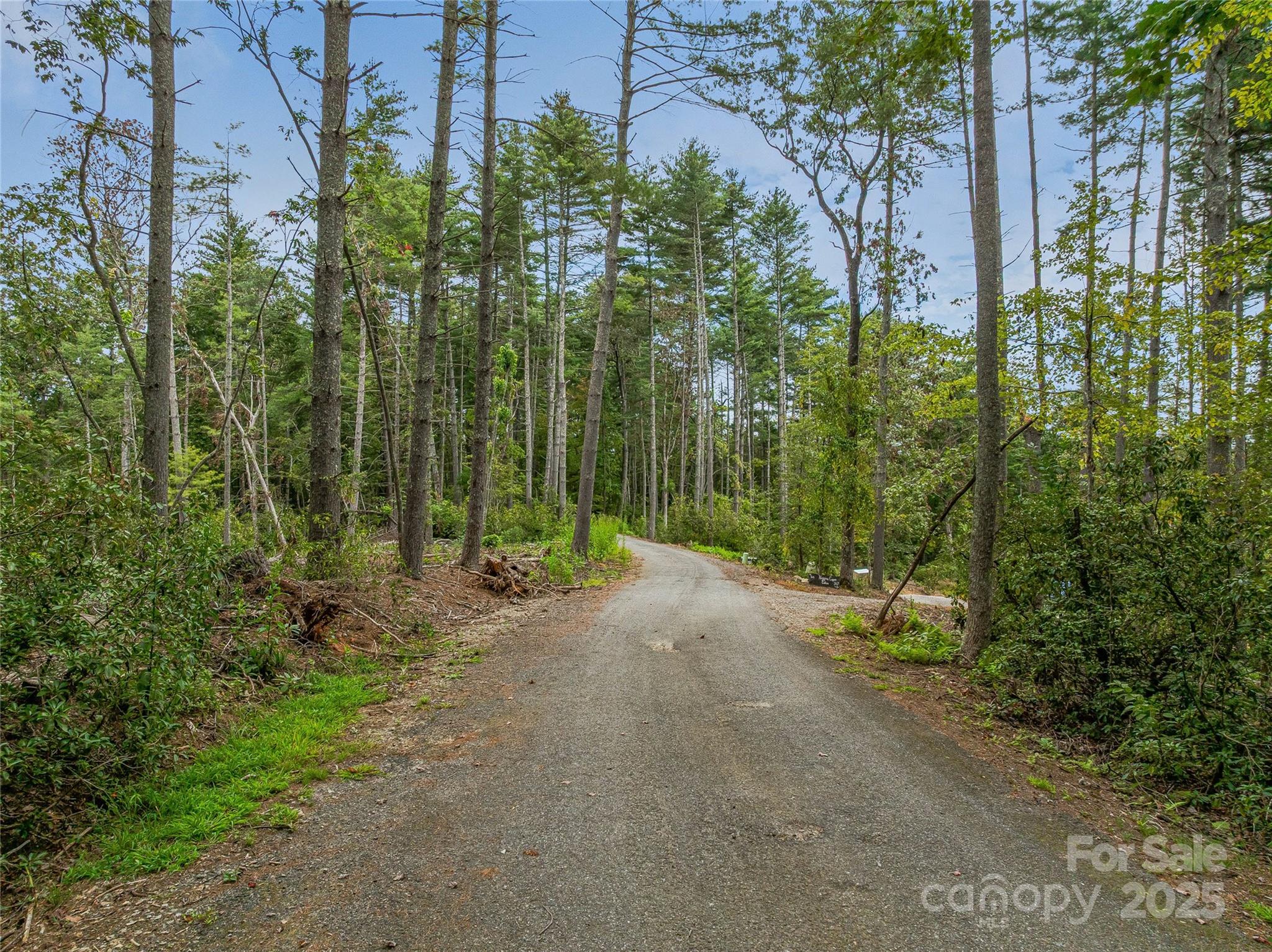 99999 Merriwood Way 15