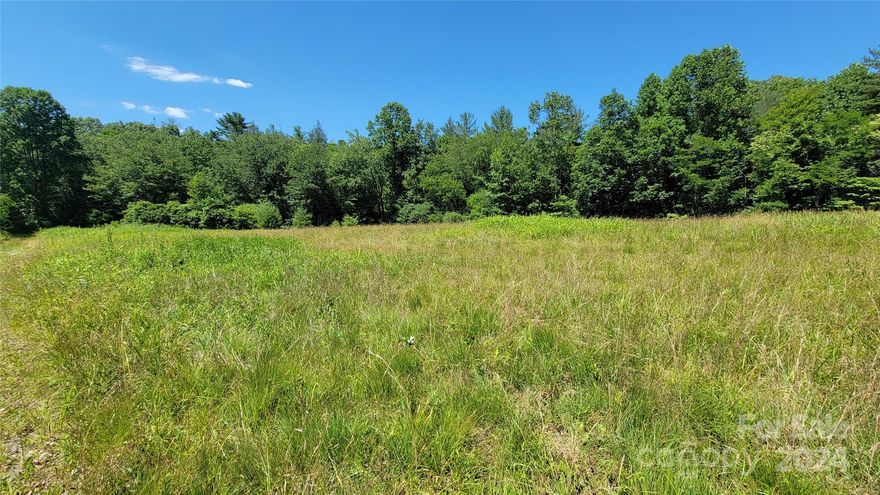 This unique mountain property has endless opportunities. It features a beautiful creek with small pond, pasture, lots of wildlife, multiple building sites, and the potential for great mountain views. It is just minutes from Dupont State Recreational Forest, Pisgah Forest, and less than 6 miles to downtown Brevard. The shed on property has electric and plumbing and was used as a "tiny home".