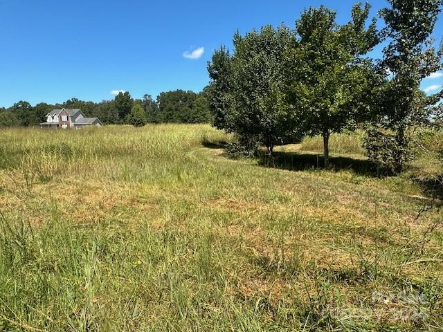 Vintage Woods - Land