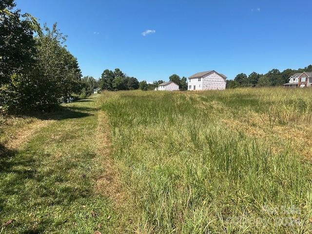 Vintage Woods - Land