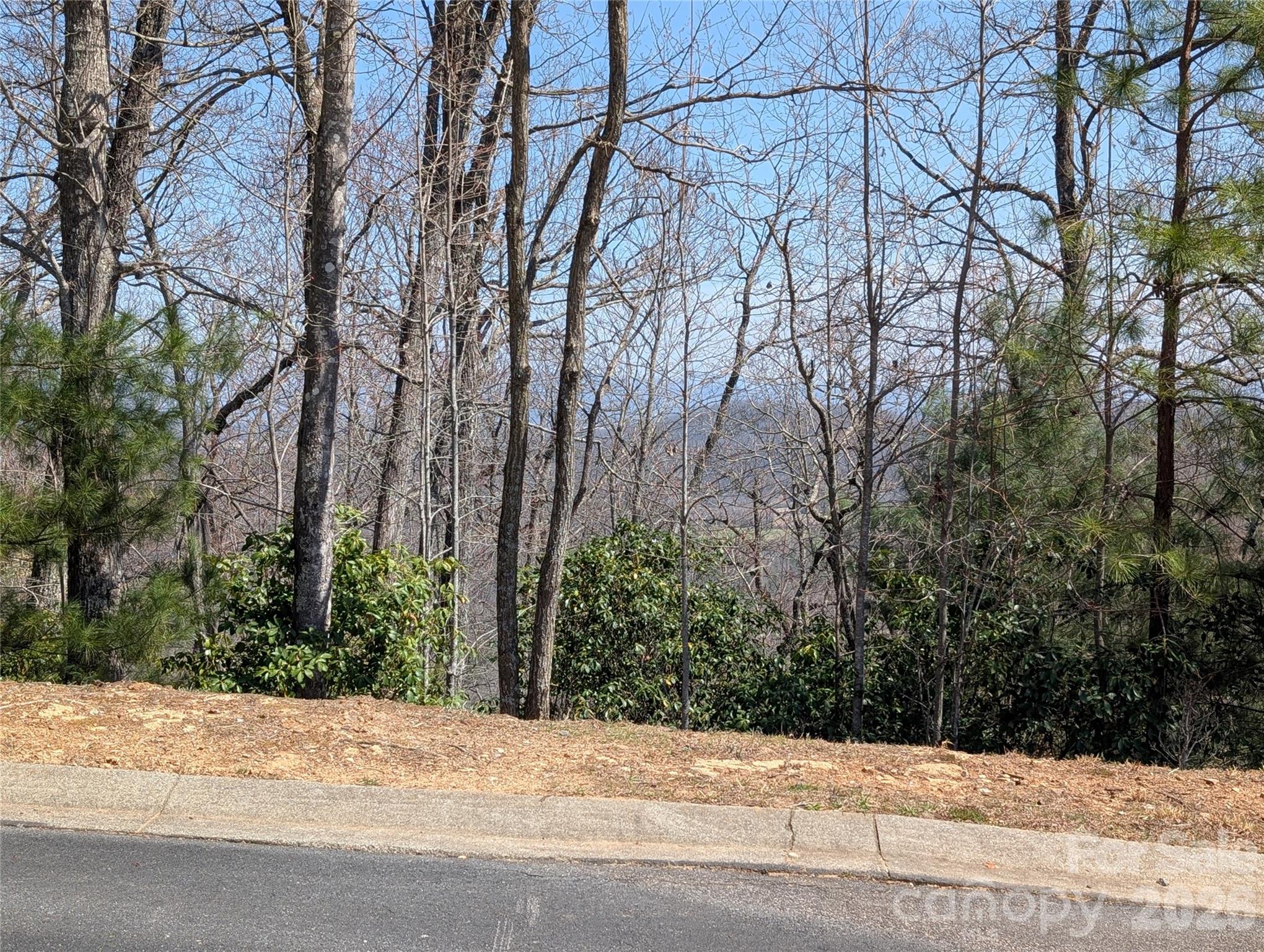Homestead at Mills River - Land