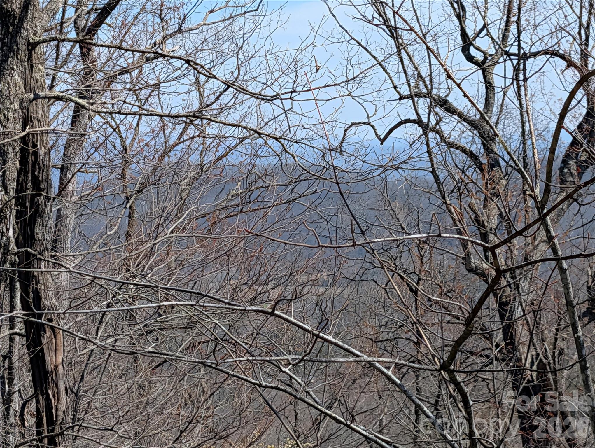 Homestead at Mills River - Land