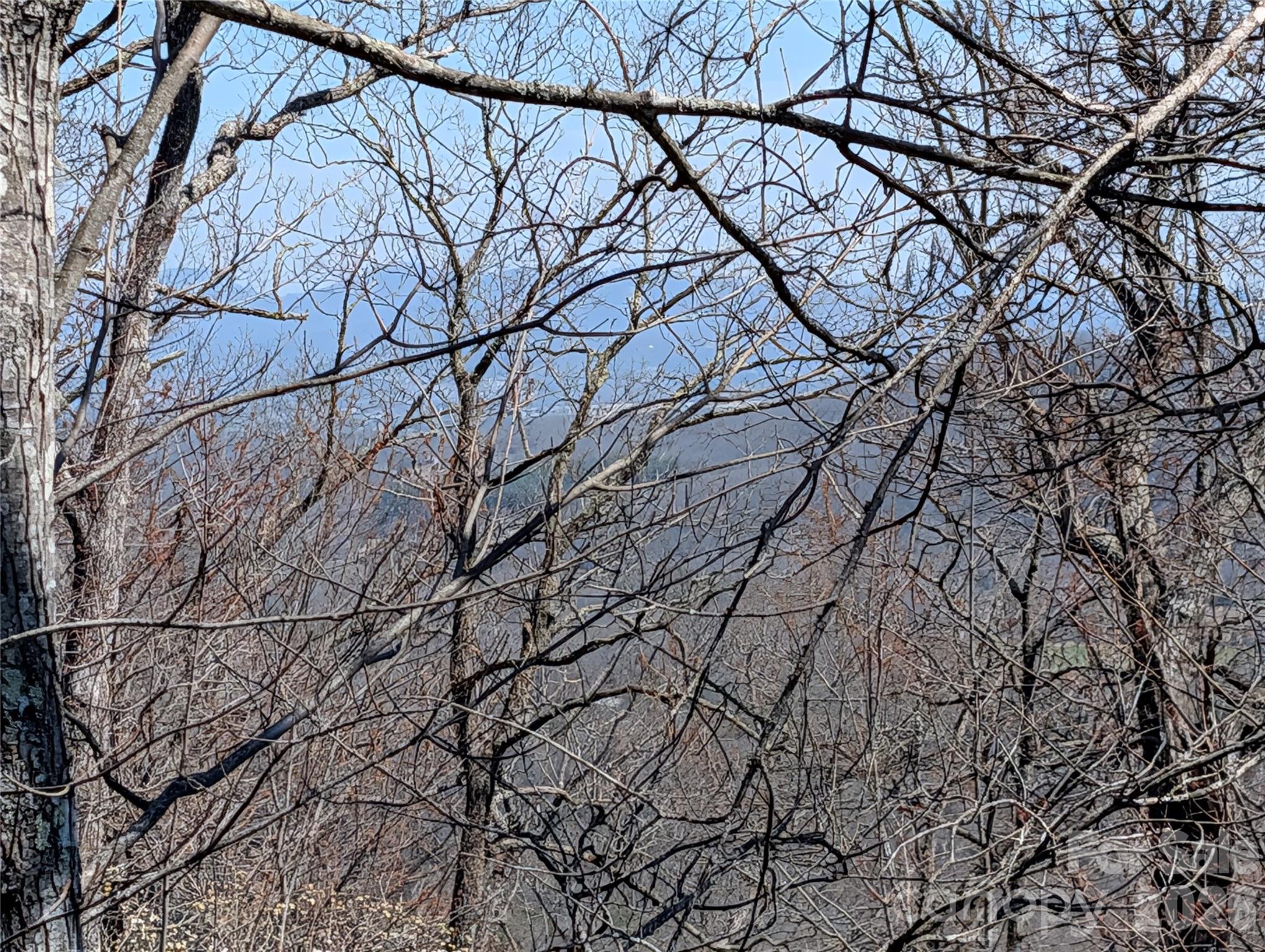 Homestead at Mills River - Land