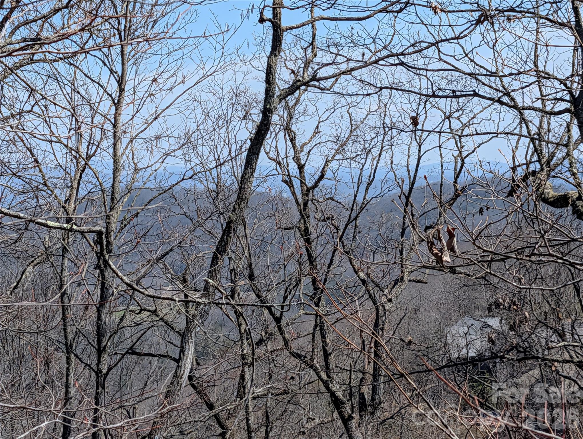 Homestead at Mills River - Land