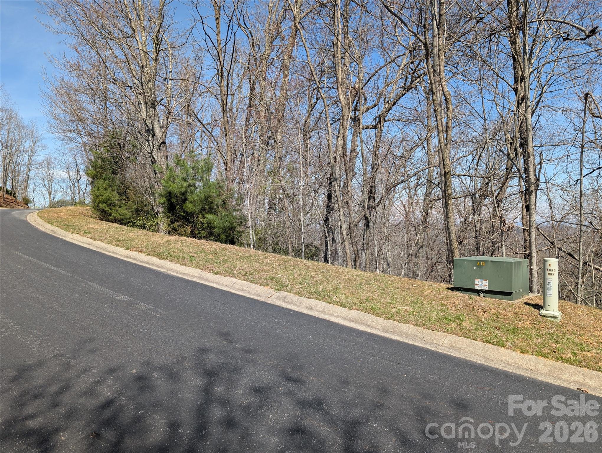 Homestead at Mills River - Land