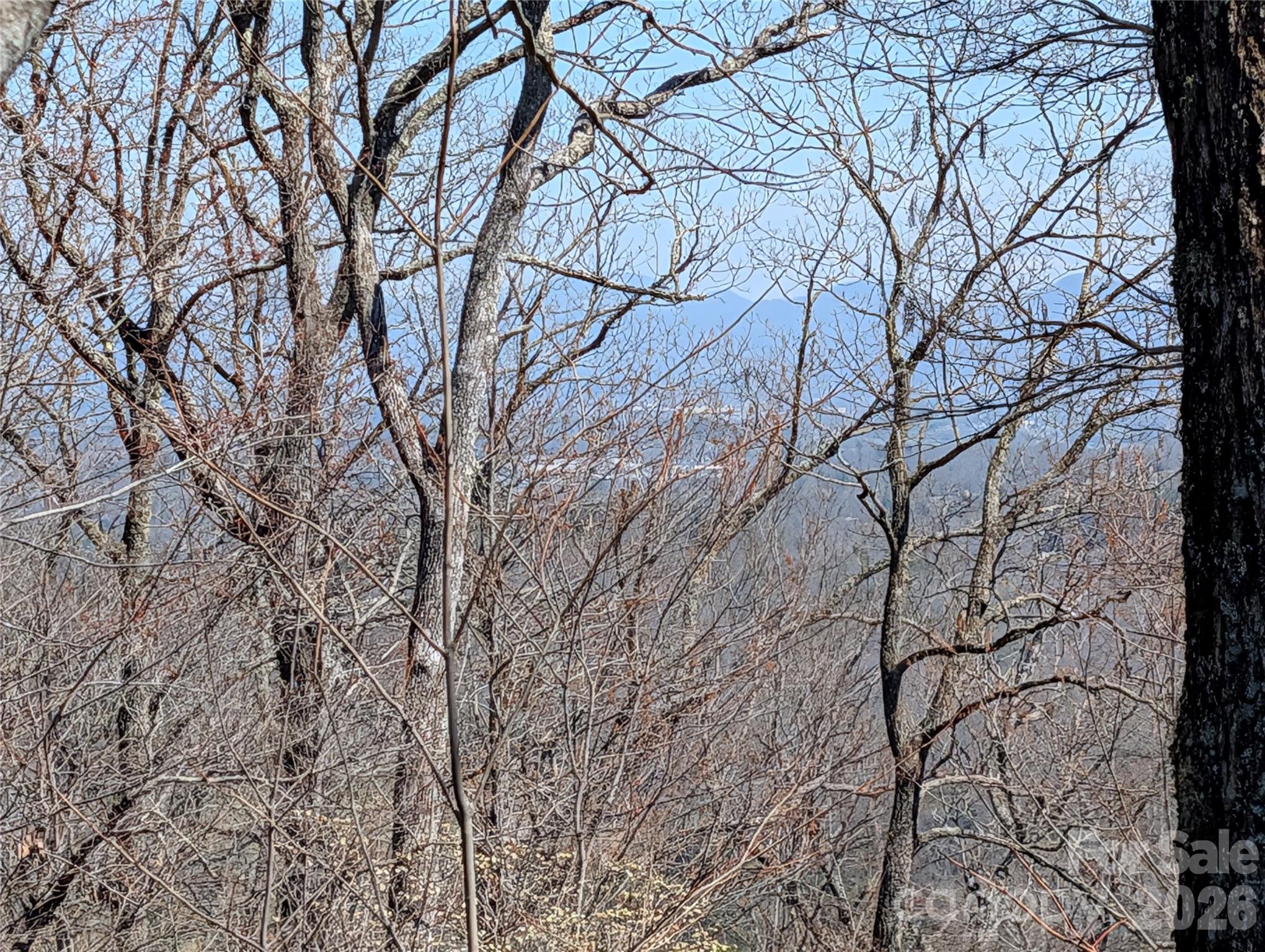 Homestead at Mills River - Land