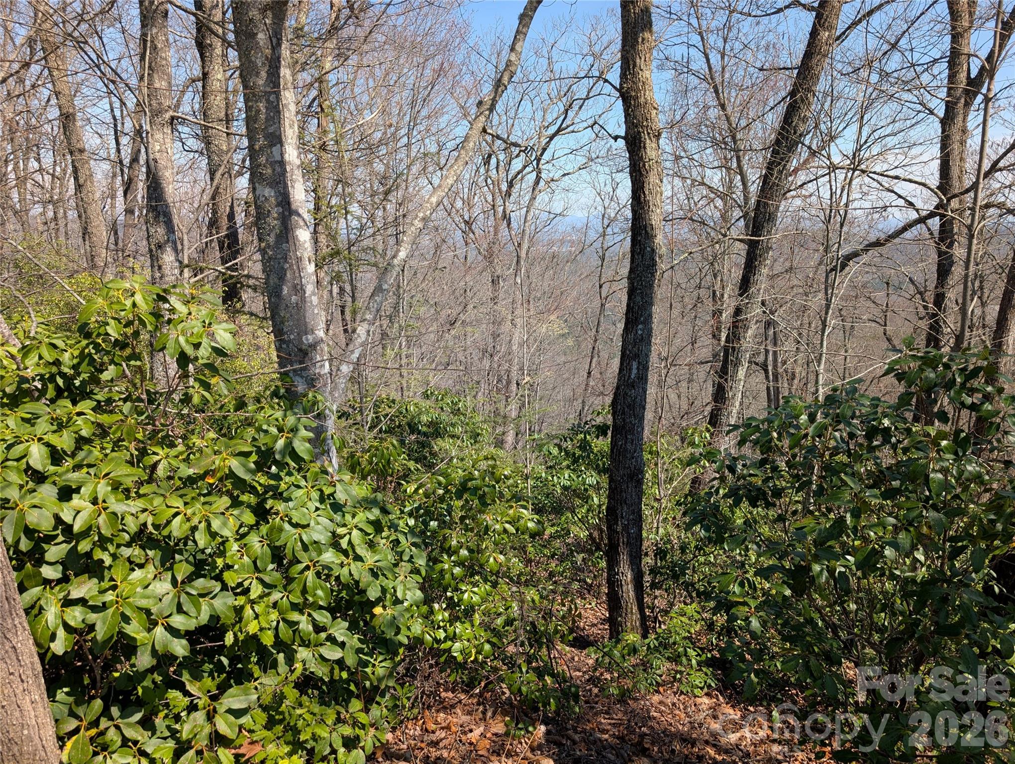 Homestead at Mills River - Land