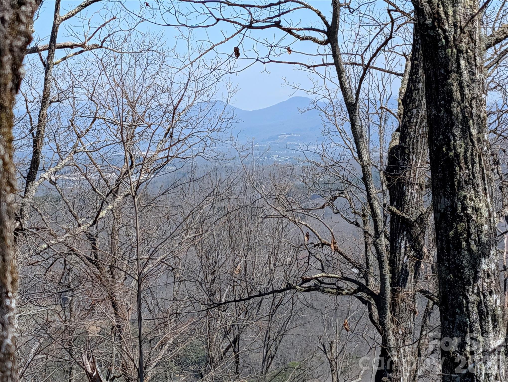 Homestead at Mills River - Land