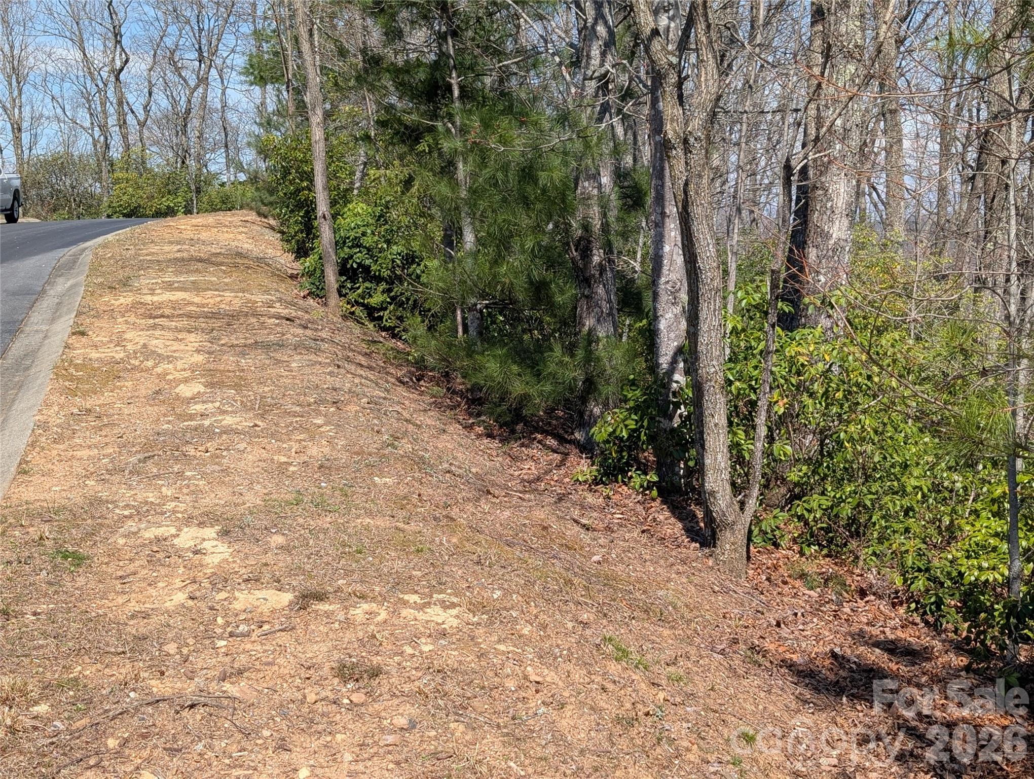Homestead at Mills River - Land