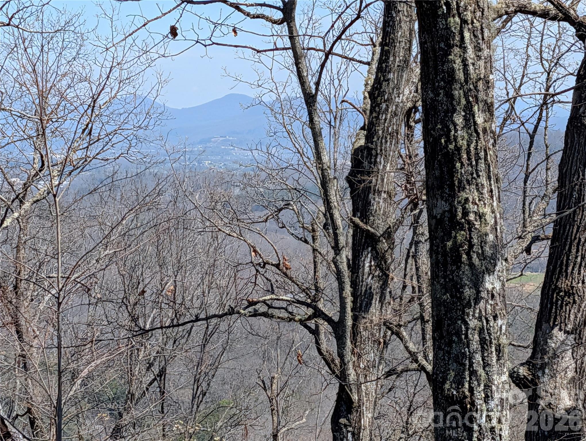 Homestead at Mills River - Land