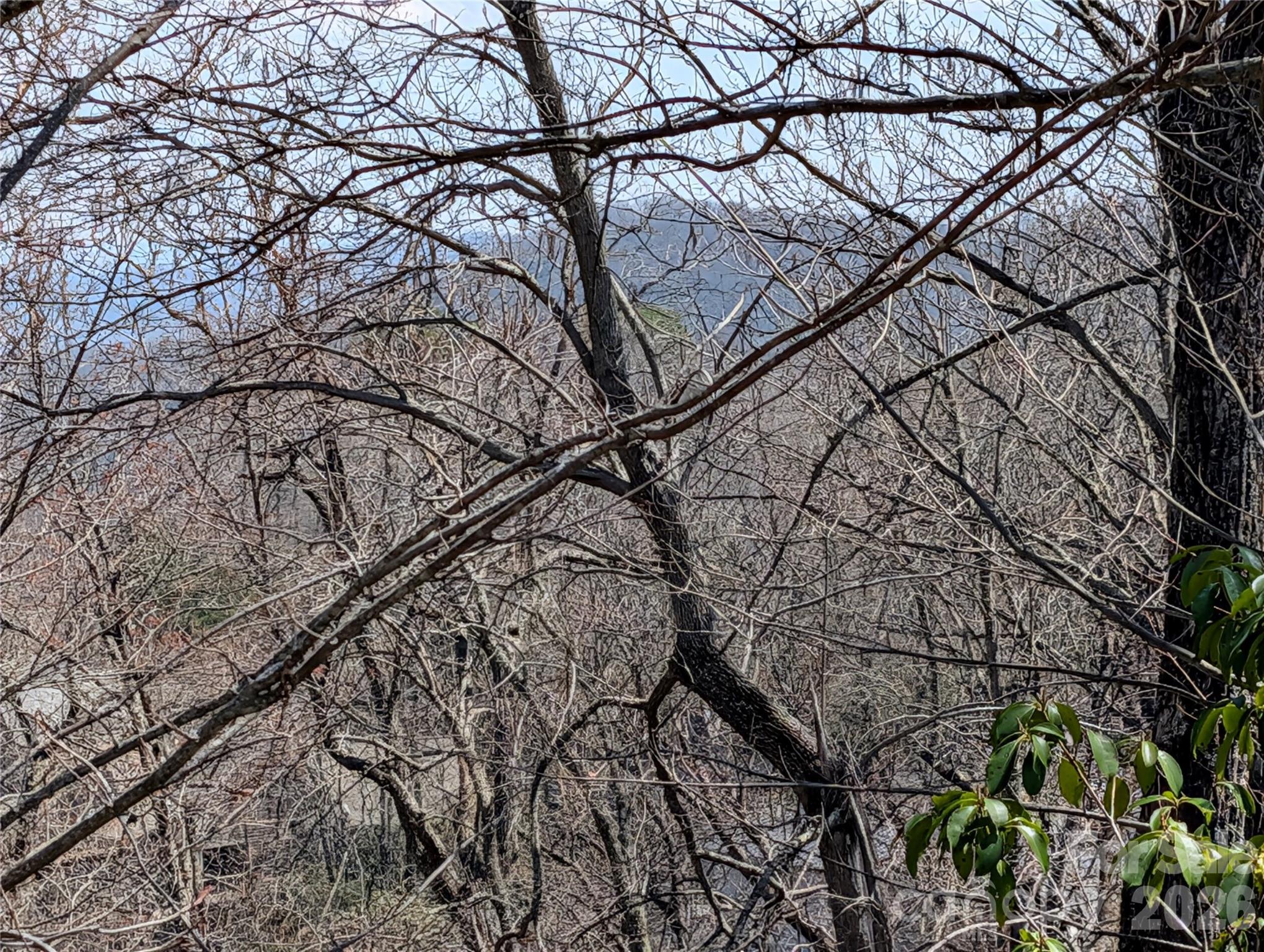 Homestead at Mills River - Land