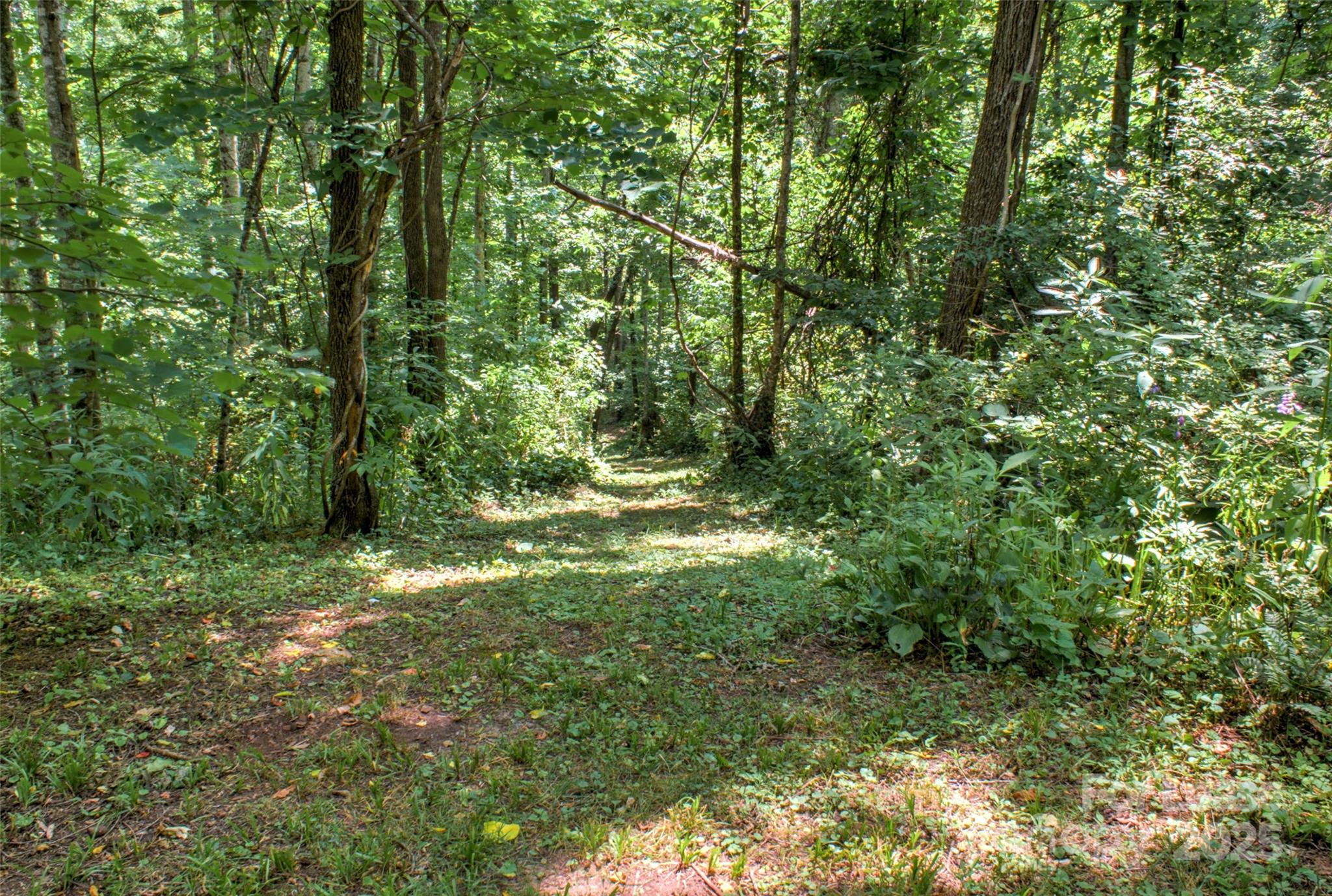 Chestnut Hill - Residential Lease