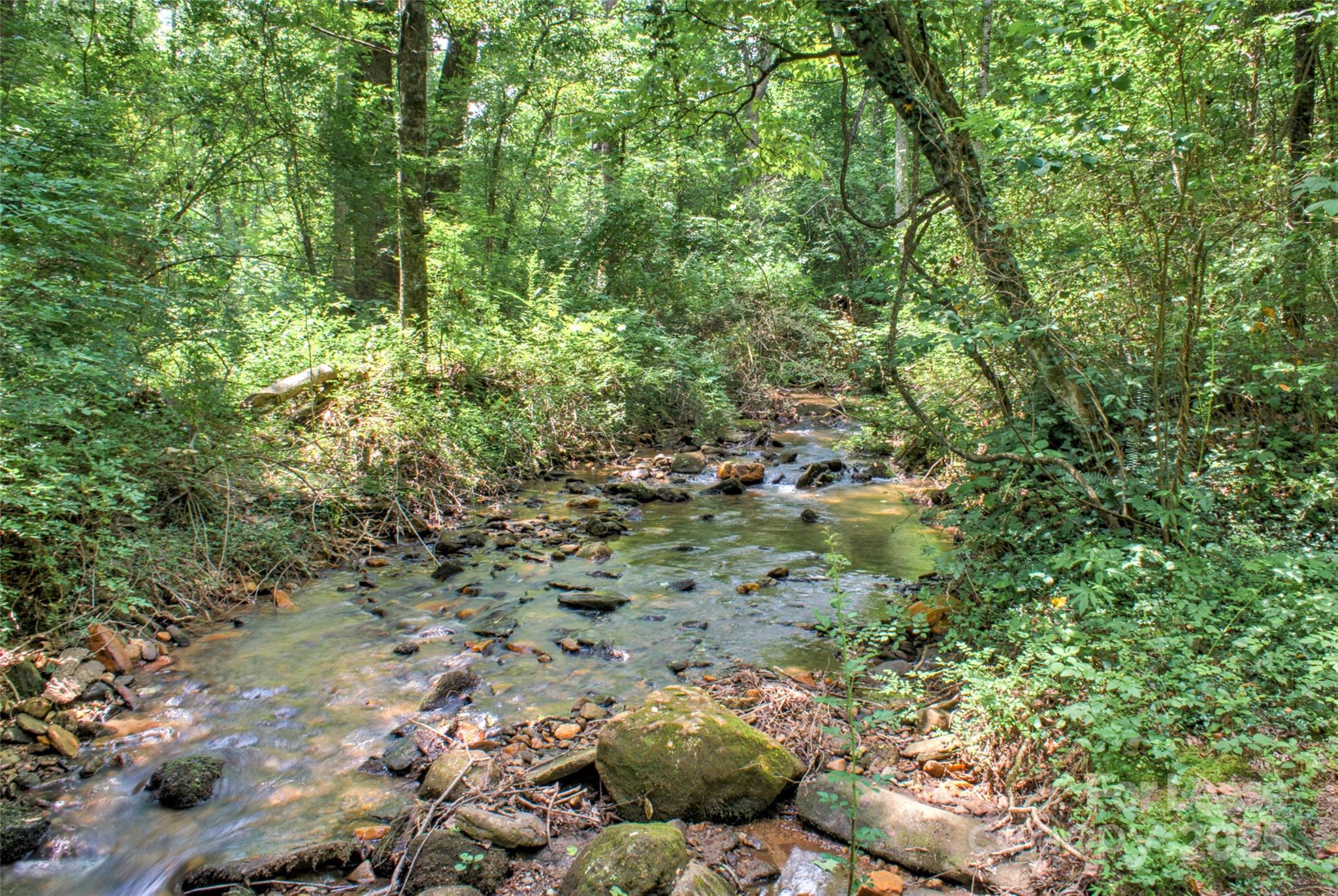 Chestnut Hill - Residential Lease