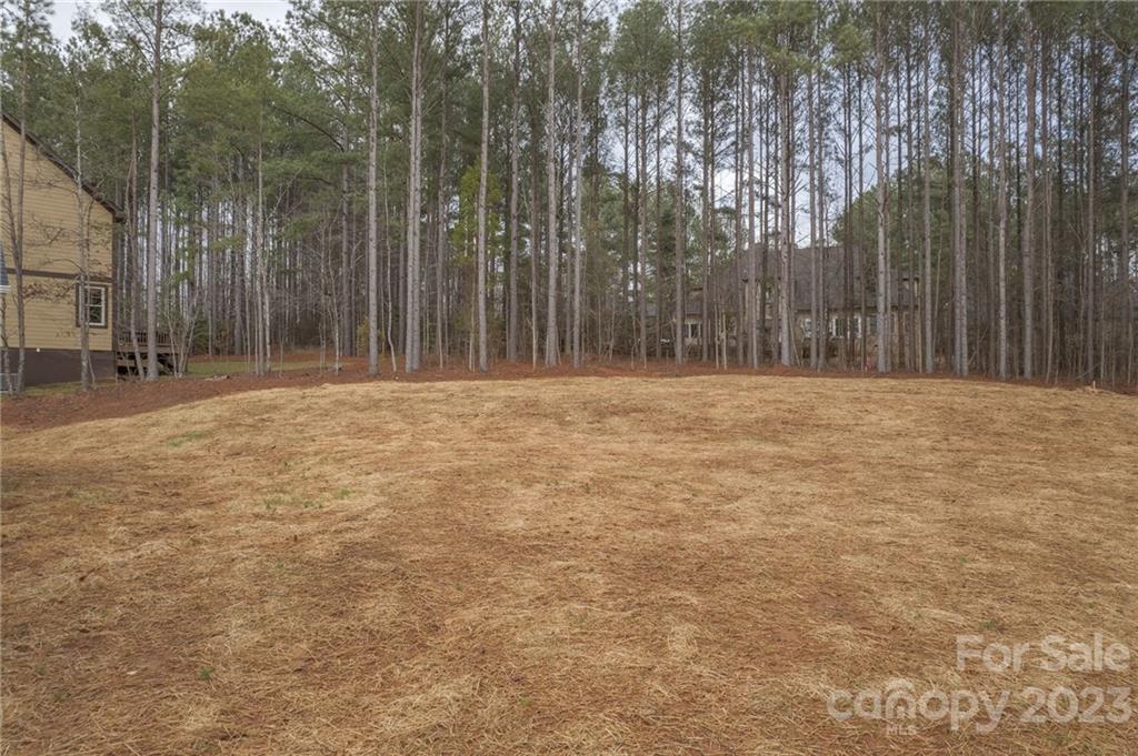 Winding Forest - Residential
