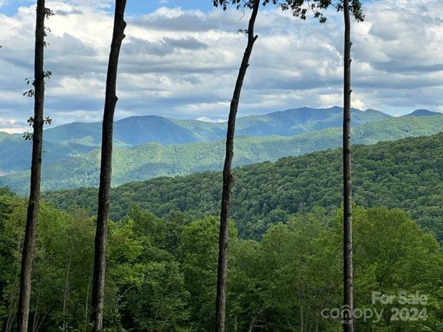 Embark on a journey of luxury living across 11.3 acres within the prestigious gated community of Villages of Plott Creek.  Nestled amidst the splendor of nature, these three lots offer unrivaled long-range views, a serene cascading stream, and a picturesque waterfall.  Explore private walking trails, community hiking trails and picnic pavilion, all accessible via meticulously maintained paved subdivision roads. A driveway and parking area have already been put in place. Your oasis awaits amidst the harmonious blend of elegance and natural beauty.