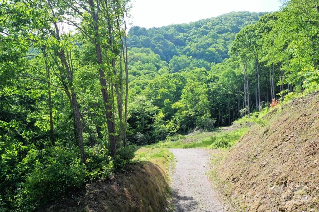 Villages of Plott Creek - Land