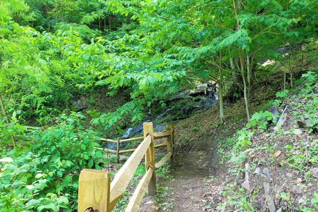 Villages of Plott Creek - Land