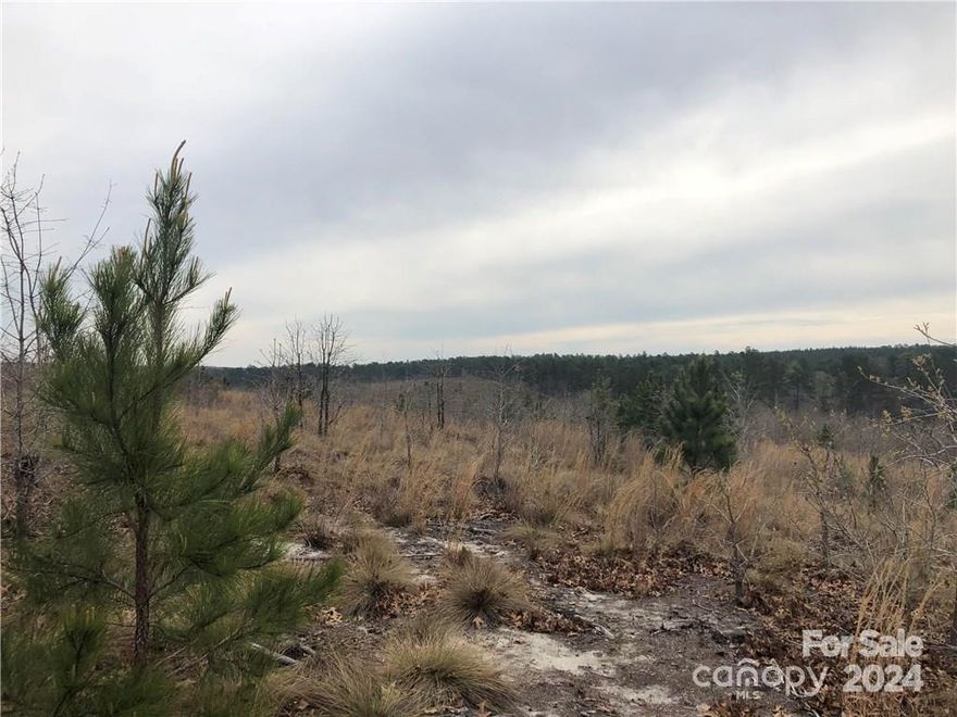 This is the perfect place to "get away" to. Looking for somewhere to hunt, camp and enjoy a small creek that runs through your property? You found it! This piece of property is surrounded on three sides by the US Fish and Wildlife preserve so it is completely serene! Build the home of your dreams right in the heart of nature!