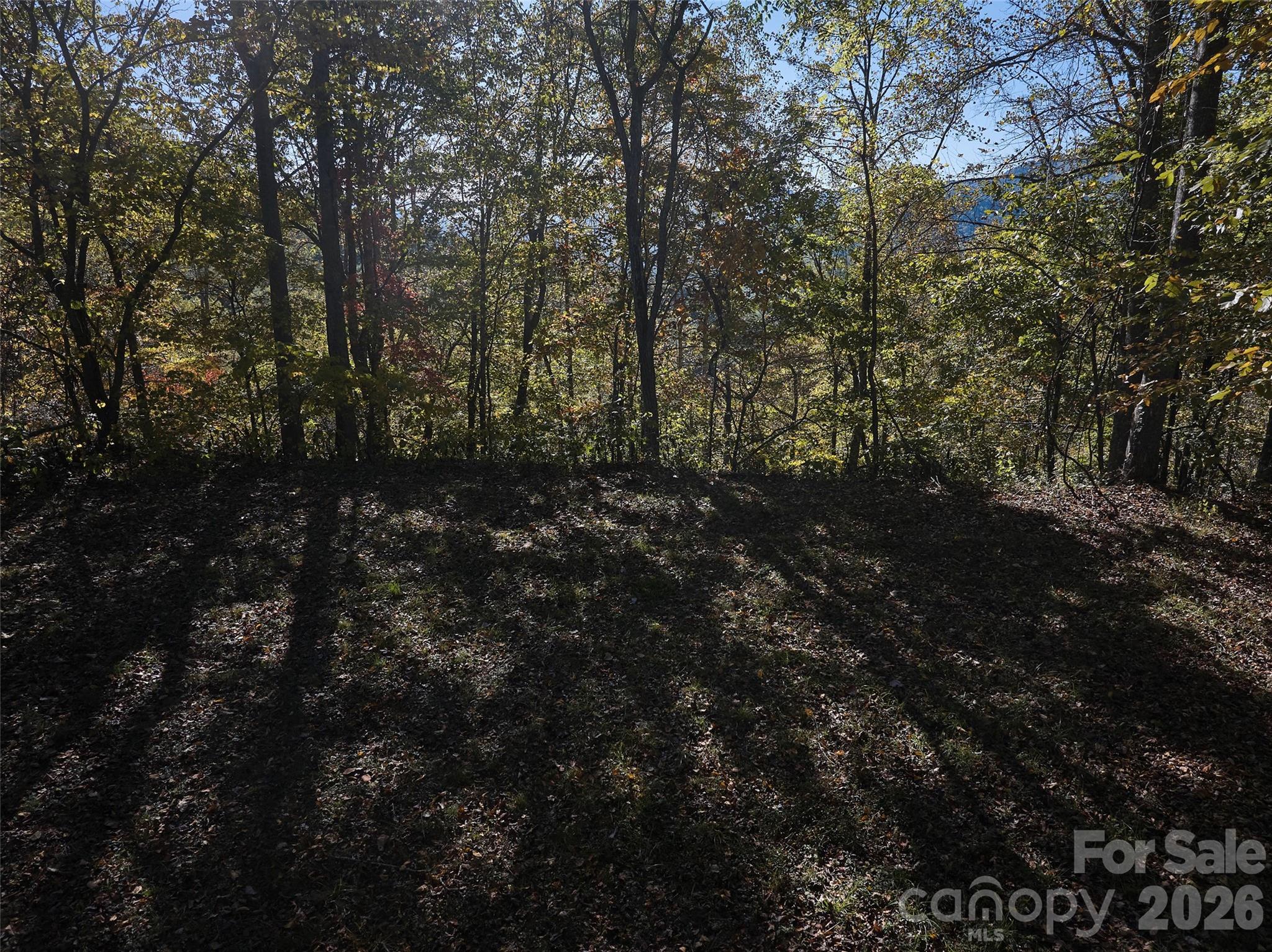 Glory Mountain - Land