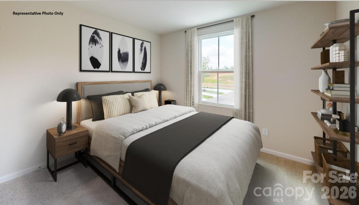 Laney Farms - Residential