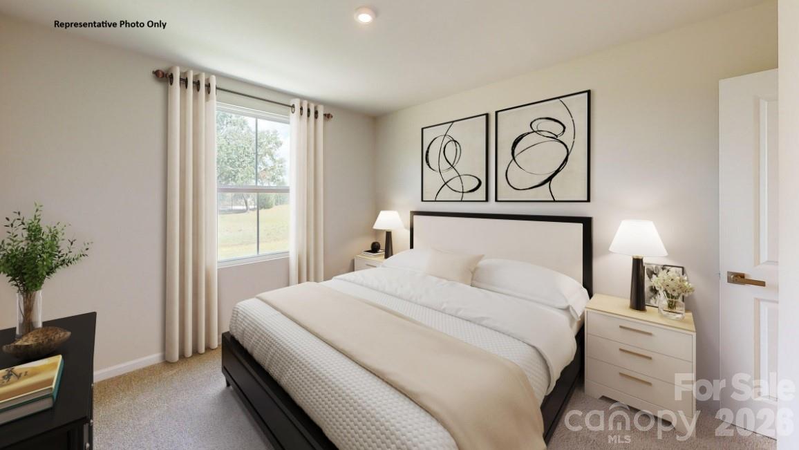 Laney Farms - Residential