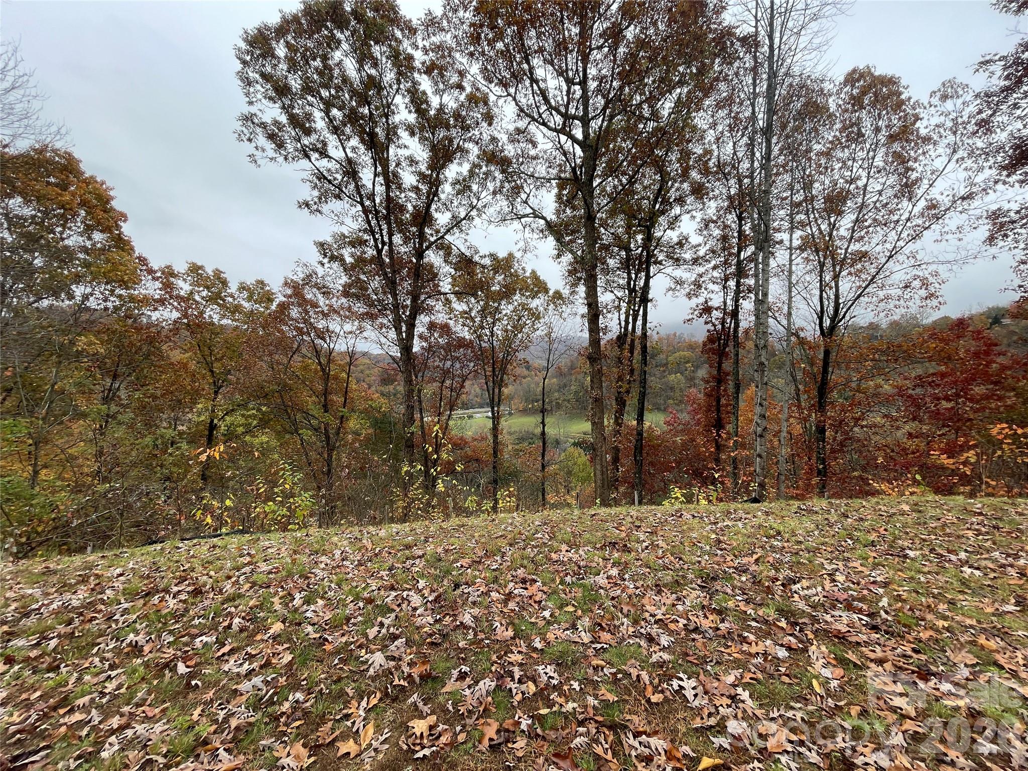Campbell Mountain Estates - Land