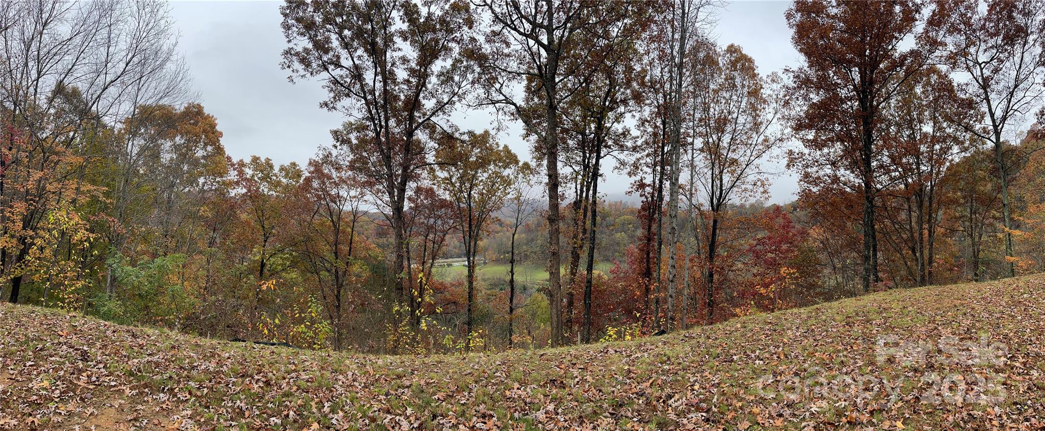 Campbell Mountain Estates - Land