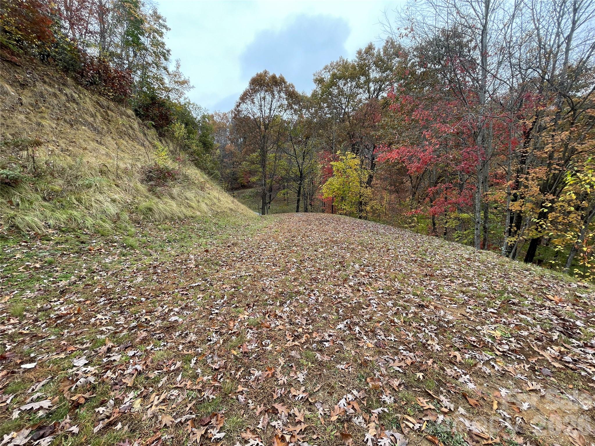 Campbell Mountain Estates - Land