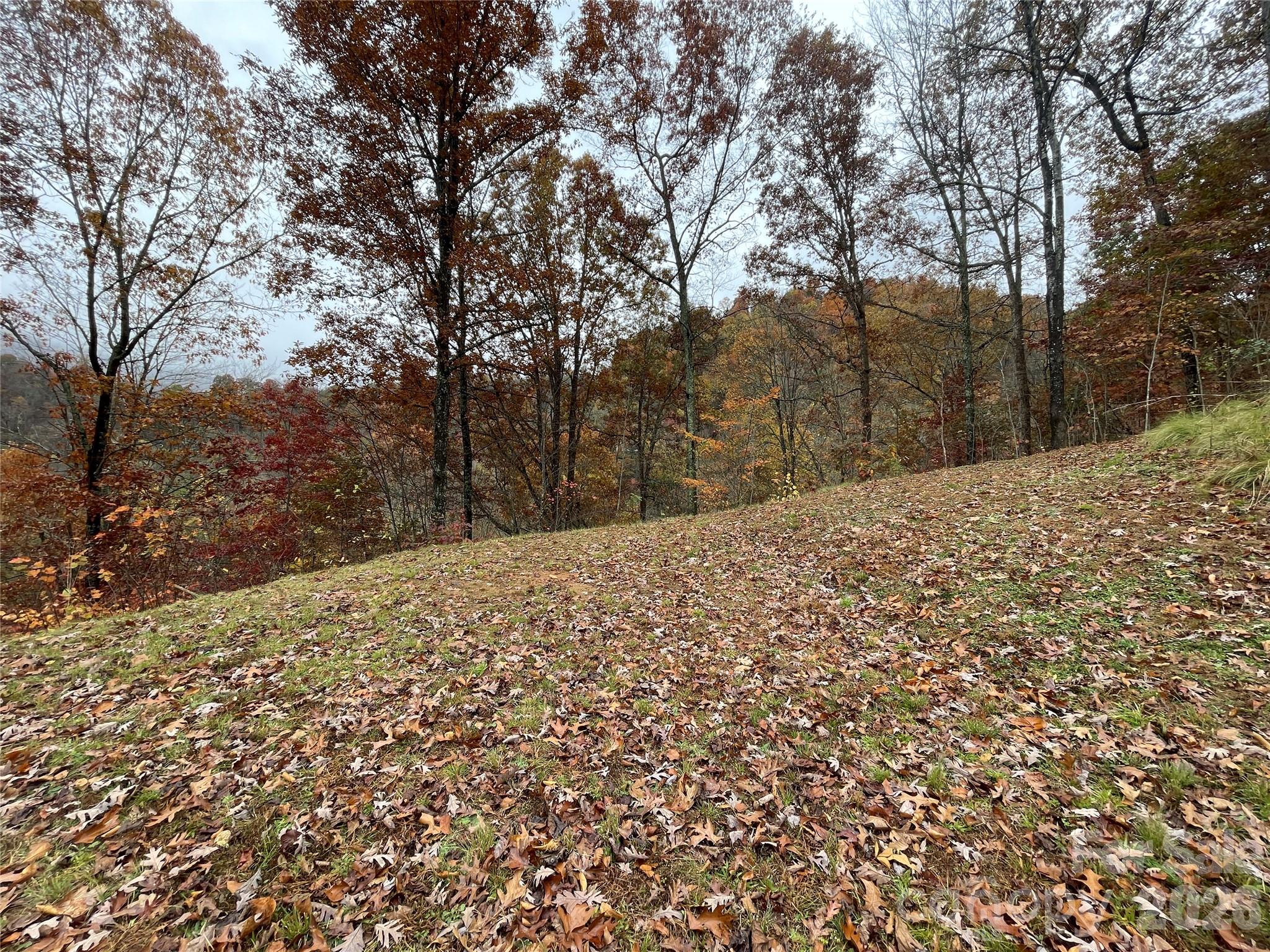 Campbell Mountain Estates - Land
