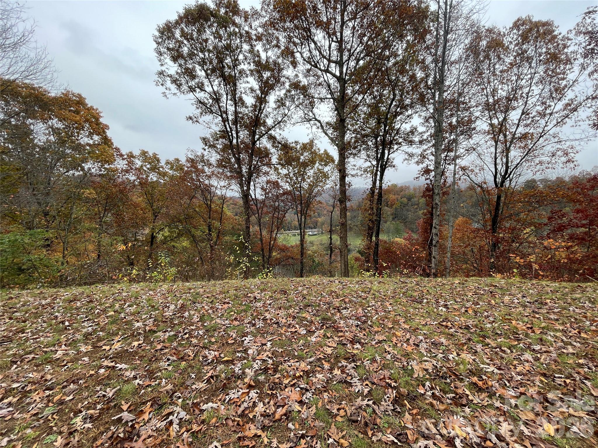 Campbell Mountain Estates - Land