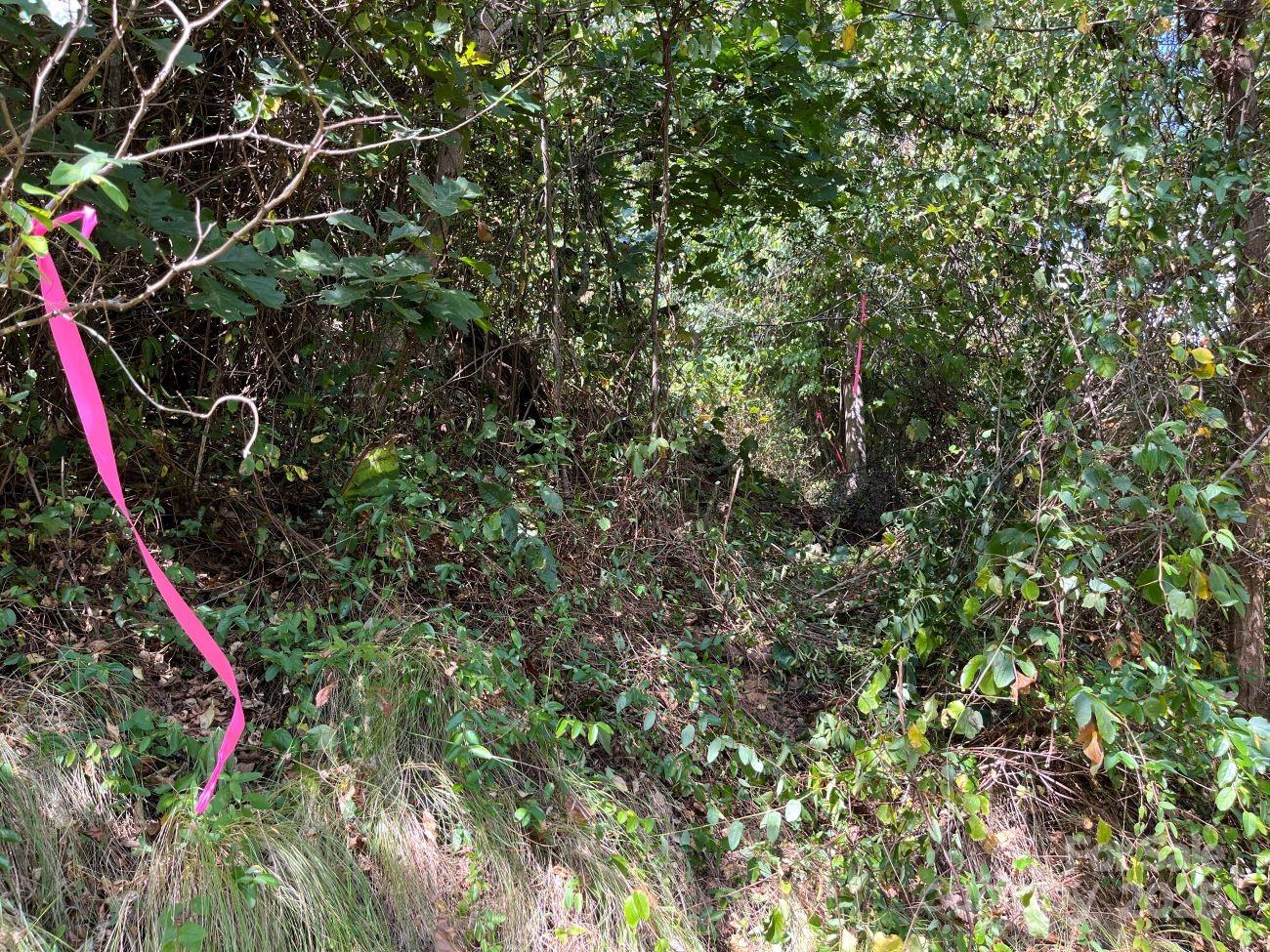 The Summit of Asheville - Land