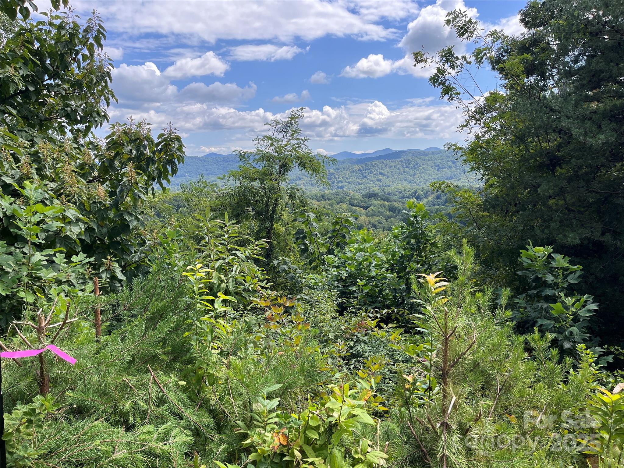 The Summit of Asheville - Land