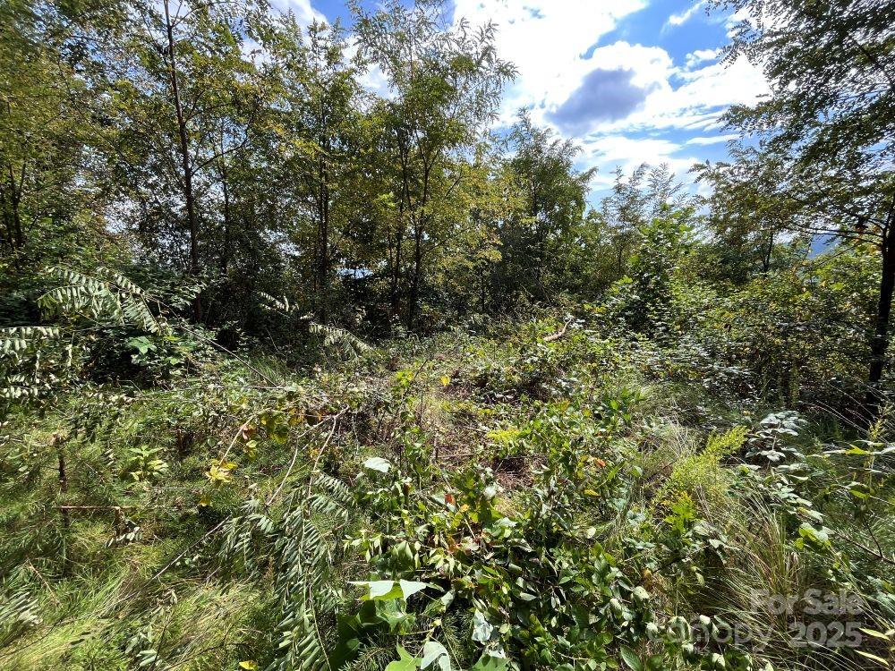 The Summit of Asheville - Land