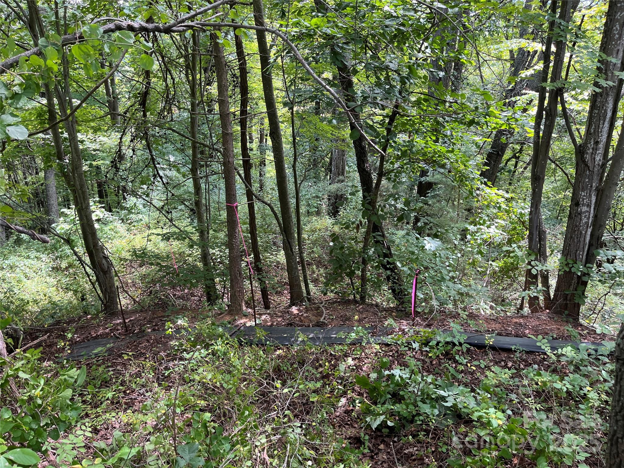 The Summit of Asheville - Land