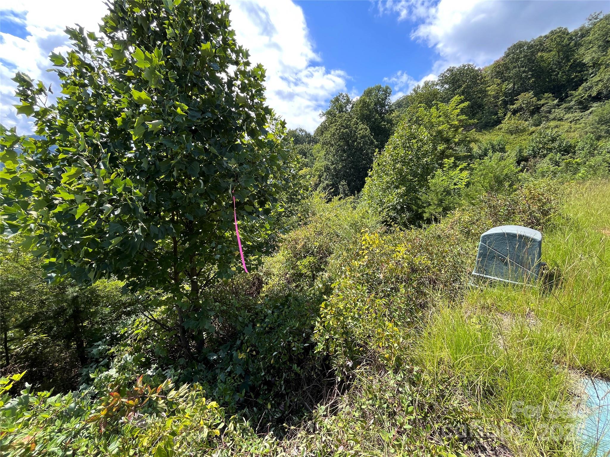 The Summit of Asheville - Land