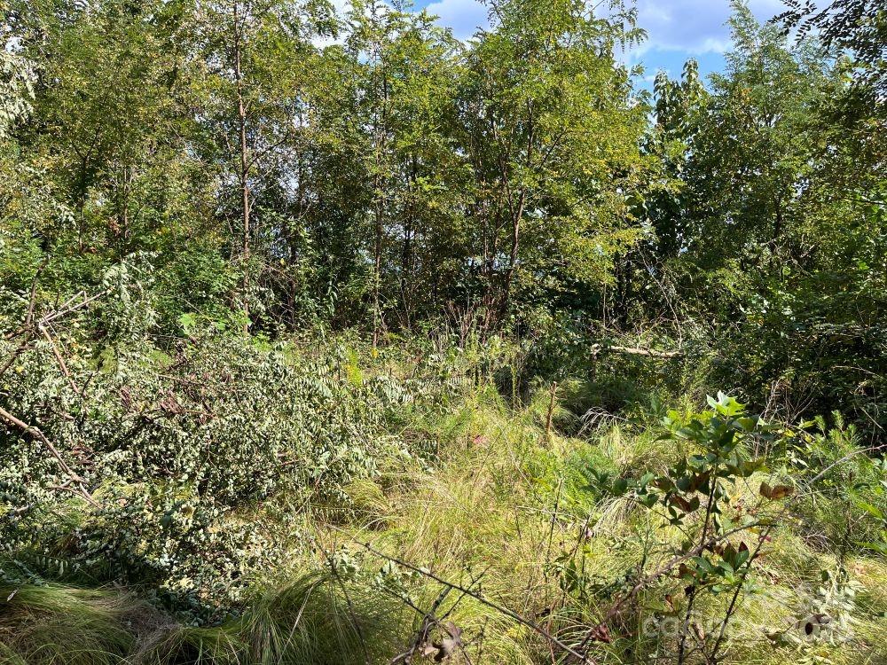 The Summit of Asheville - Land