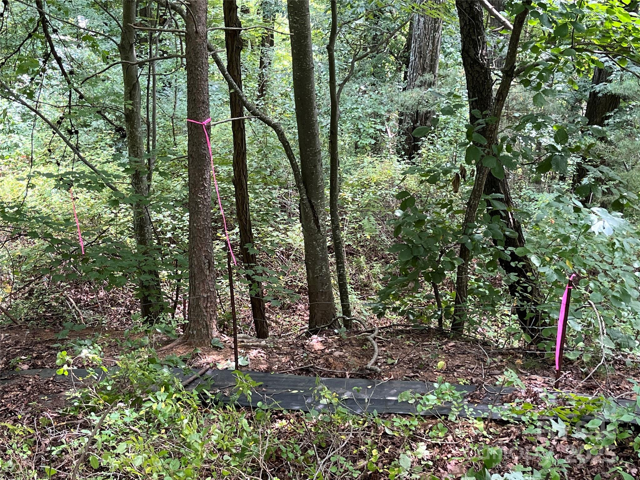 The Summit of Asheville - Land