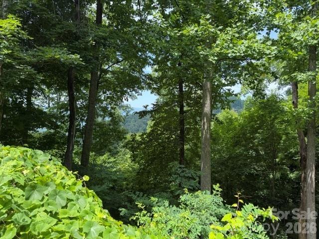 Lot 22 Spring Rock Road, Burnsville, NC, 28714