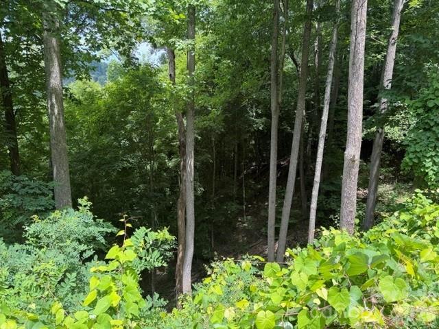 Lot 22 Spring Rock Road