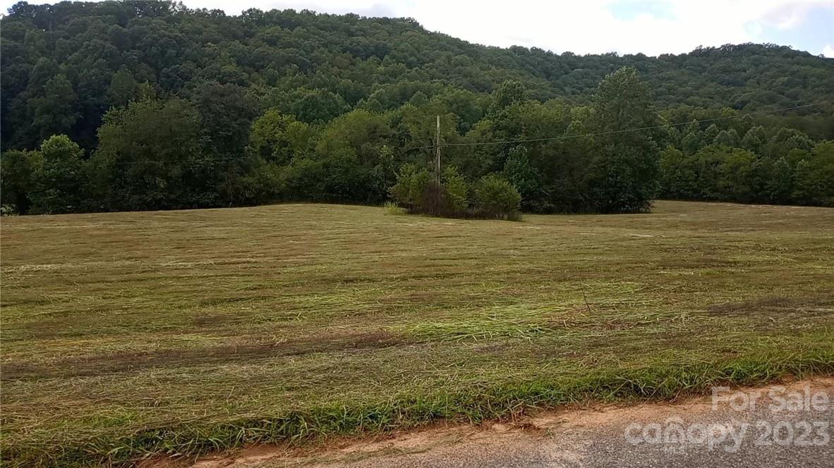 410 Plemmons Place 9