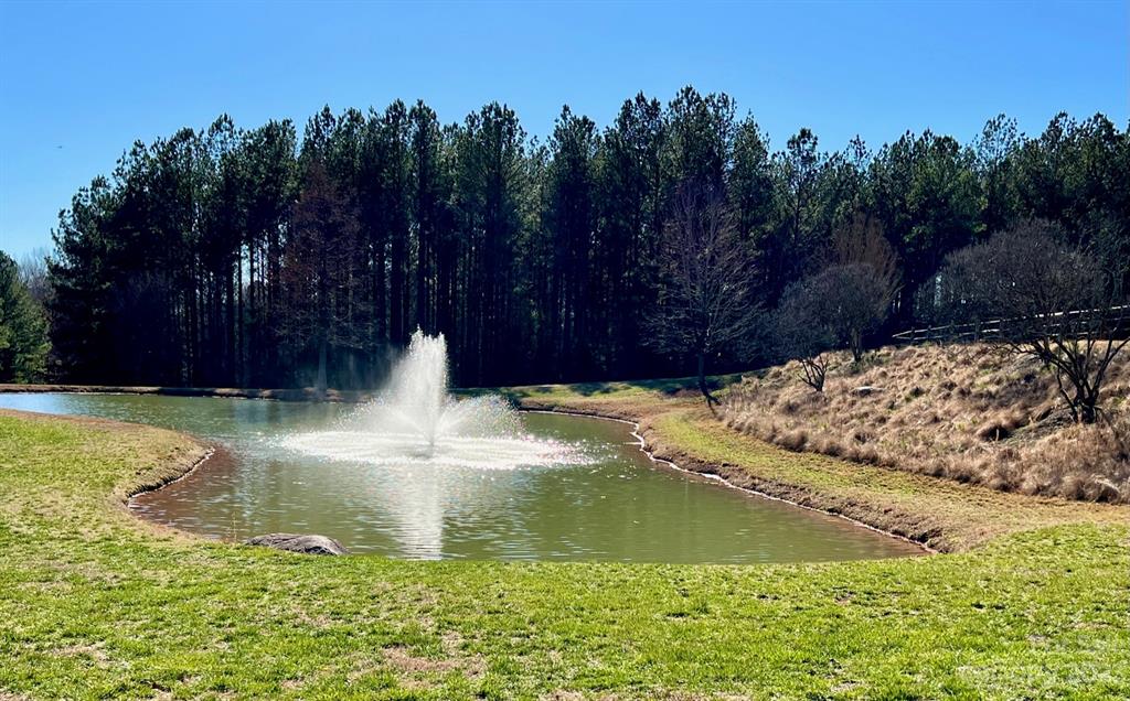 Reflection Pointe - Land