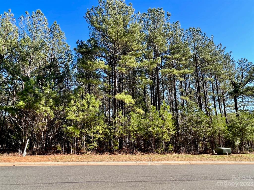 Reflection Pointe - Land